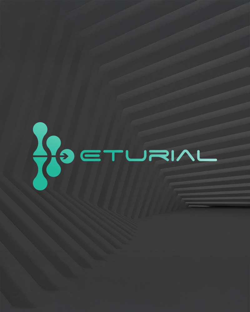 Brand Identity Portfolio